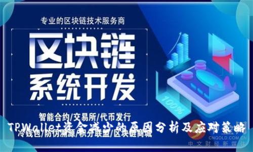 TPWallet资金减少的原因分析及应对策略