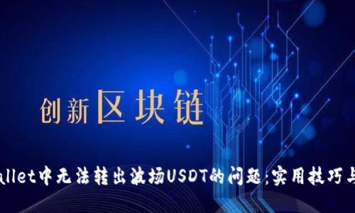 解决TPWallet中无法转出波场USDT的问题：实用技巧与用户指南