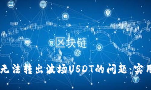 解决TPWallet中无法转出波场USDT的问题：实用技巧与用户指南
