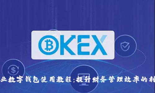 企业数字钱包使用教程：提升财务管理效率的利器