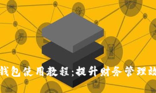 企业数字钱包使用教程：提升财务管理效率的利器