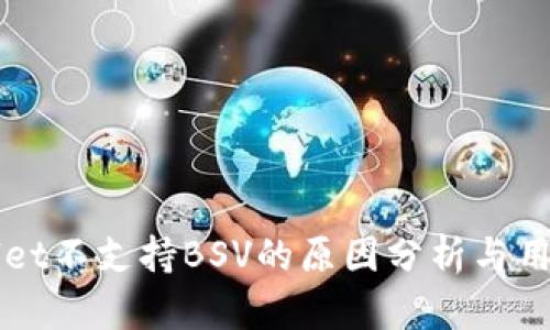 TPWallet不支持BSV的原因分析与用户指南