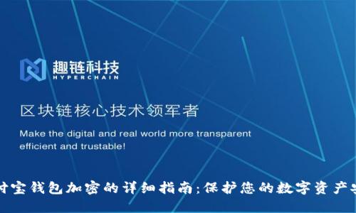 支付宝钱包加密的详细指南：保护您的数字资产安全