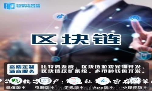 安全保护你的数字资产：钱包私钥加密存储策略全解析