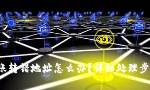 tpwallet 转账转错地址怎么办？详细处理步骤与注意事项
