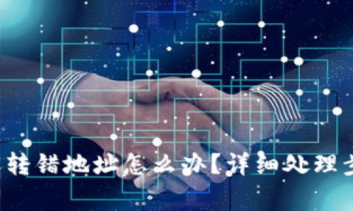 tpwallet 转账转错地址怎么办？详细处理步骤与注意事项