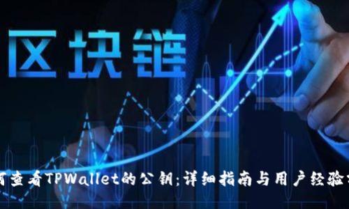如何查看TPWallet的公钥：详细指南与用户经验分享