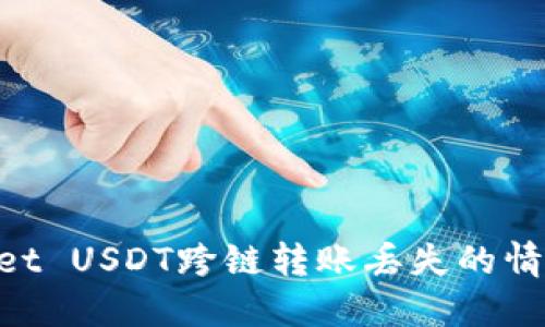 如何处理TPWallet USDT跨链转账丢失的情况：用户必备指南