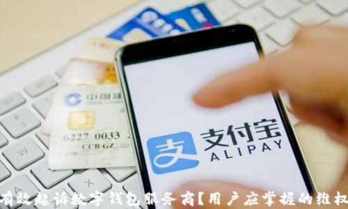 
如何有效起诉数字钱包服务商？用户应掌握的维权关键
