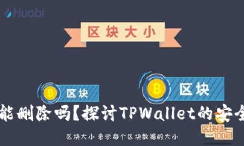 TPWallet记录能删除吗？探讨TPWallet的安全性与记录管理