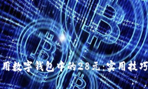 如何充分利用数字钱包中的28元：实用技巧与消费指南