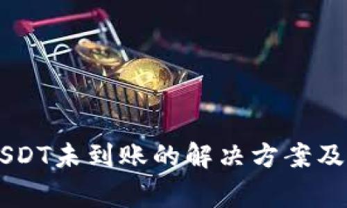 TPWallet充USDT未到账的解决方案及常见问题解析