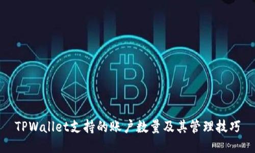 TPWallet支持的账户数量及其管理技巧
