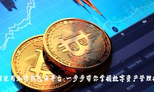 如何使用加密钱包云平台：一步步带你掌握数字资产管理技巧