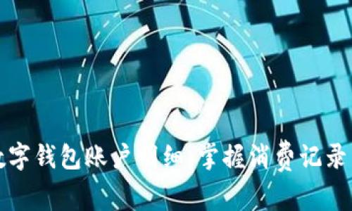 如何查看数字钱包账户明细，掌握消费记录与余额管理