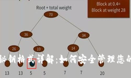 数字钱包秘钥格式详解：如何安全管理您的数字资产