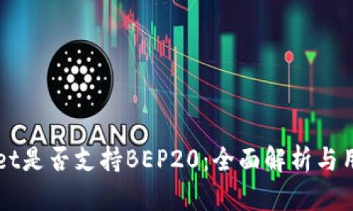 TPWallet是否支持BEP20：全面解析与用户指南