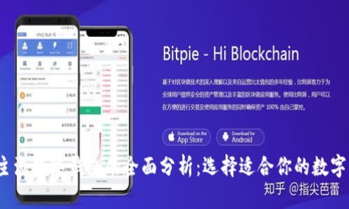 2018年主流数字钱包的全面分析：选择适合你的数字支付工具