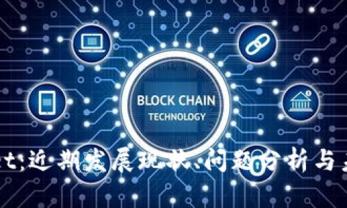 TPWallet：近期发展现状、问题分析与未来展望