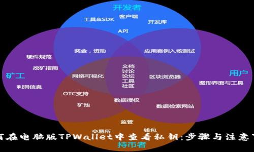 如何在电脑版TPWallet中查看私钥：步骤与注意事项