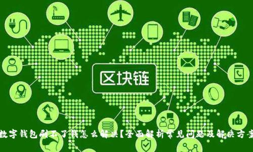 数字钱包刷不了钱怎么解决？全面解析常见问题及解决方案