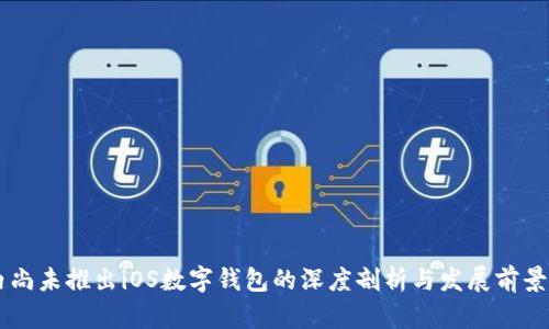 国内尚未推出iOS数字钱包的深度剖析与发展前景展望