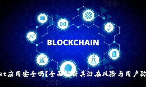 tpwallet应用安全吗？全面解析其潜在风险与用户防护措施