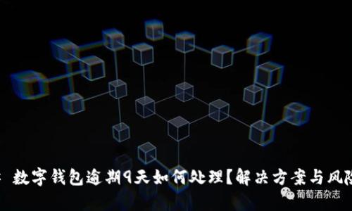 ### 数字钱包逾期9天如何处理？解决方案与风险分析