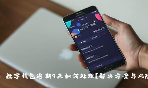 ### 数字钱包逾期9天如何处理？解决方案与风险分析