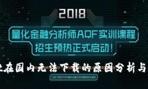 TPWallet在国内无法下载的原因分析与解决方案