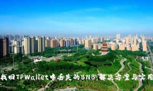 如何找回TPWallet中丢失的BNB：解决方案与实用技巧