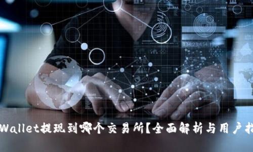 TPWallet提现到哪个交易所？全面解析与用户指南