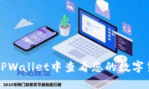 如何在TPWallet中查看您的数字货币资产
